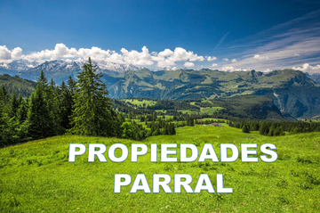 Propiedades Parral
