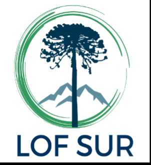 Lof Sur Servicios Integrales SpA