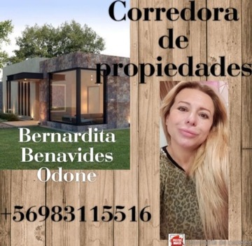 Bernardita Benavides Odone