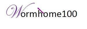 Wormhome100