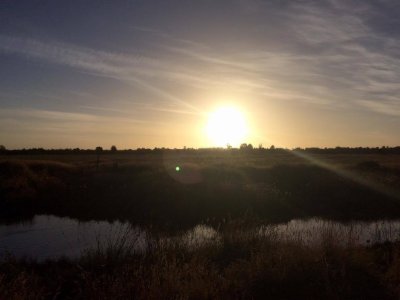 Sebastian Paredes Oliva