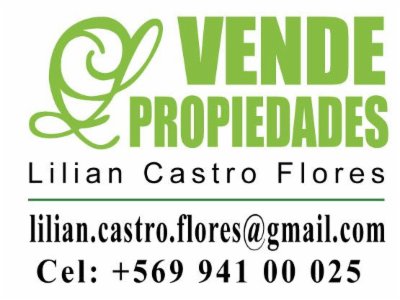 Lilian Castro Flores