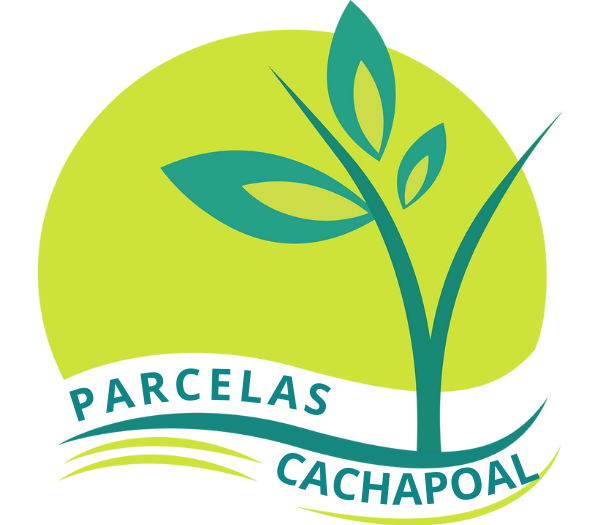 Parcelas Cachapoal