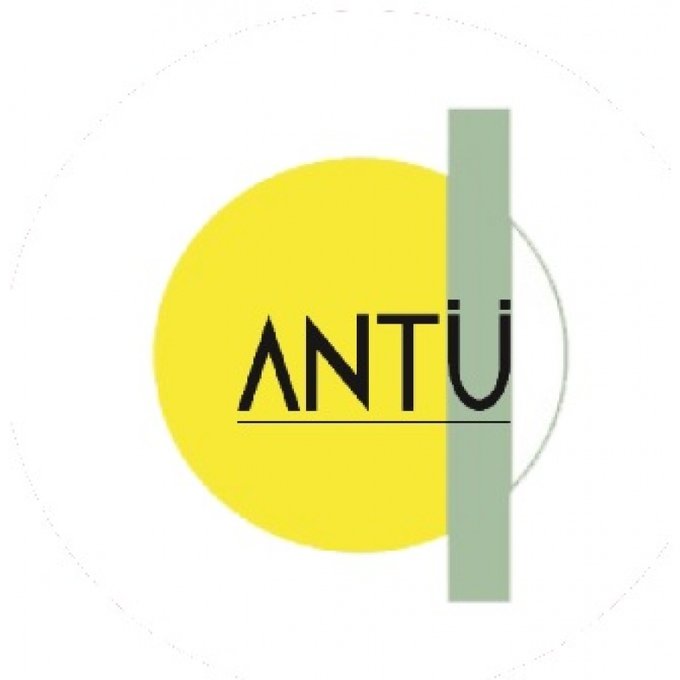 Antü Soluciones SpA