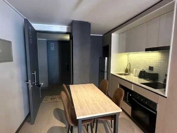 Departamento en arriendo mensual en Moderno Depto en Santiago Centro (159490), Santiago - 1 dormitorio, 1 baño