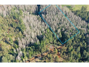 Parcela en venta en Terreno 5000 M2 con Bosque Nativo