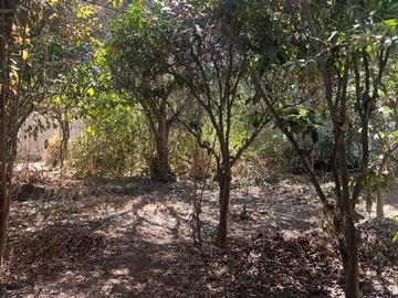 Venta / Terreno / Limache