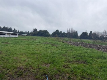 Terreno Agricola en venta en Santa Natalia, San Javier de Loncomilla