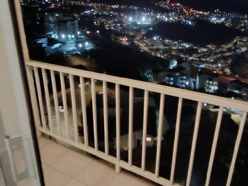 Arriendo Mensual / Departamento / Viña del Mar