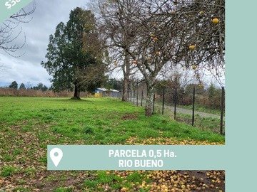Venta / Parcela / Río Bueno