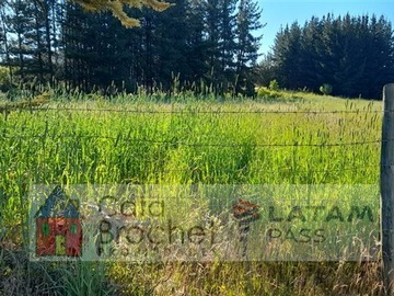 Terreno Agricola en venta en 10 m2 de Matanzas y muy cerca de Puertecillo., Litueche