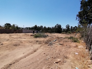 Sitio en venta en Los pinos, Quilpué