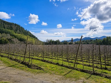 Terreno Agricola en venta en Molina, Molina