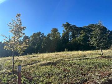 Terreno en venta en Parcela, Loteo Terranova (95759), Osorno