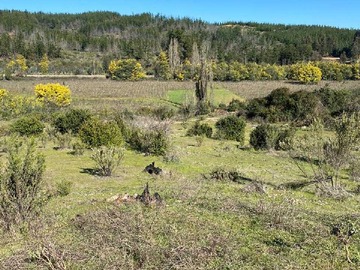 Terreno en venta en Parcela con Rol, Hualañe, Vichuquen, Duao (69268), Hualañé