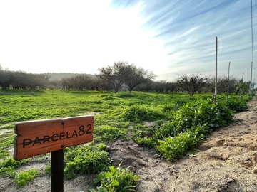 Sitio en venta en Parcela con rol propio en condominio, lomas de peñablanca., Limache