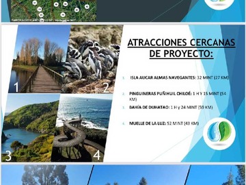 Venta / Terreno / Ancud