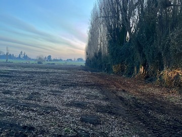 Terreno Agricola en venta en Longaví, Longaví