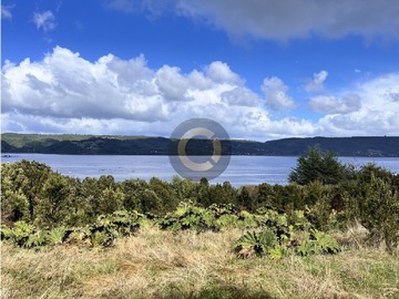 Terreno Agricola en venta en Camino a Pureo, Queilén