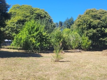 Parcela en venta en Huiscapi, Villarrica
