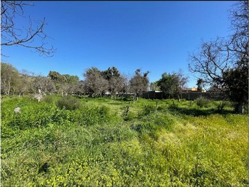 Venta / Parcela / Isla de Maipo