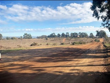Venta / Terreno / Algarrobo