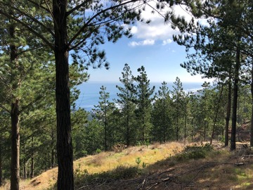 Parcela en venta en Boyecura, Vichuquén