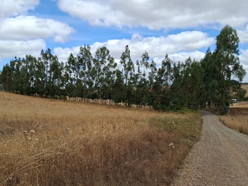 Terreno en venta en Camino 5 Manzanos Labranza, Temuco