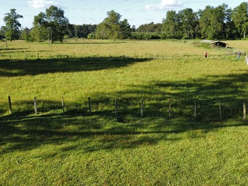 Terreno Agricola en venta en 10 Hectareas,Puyehue Excelente Conectividad (172182), Puyehue