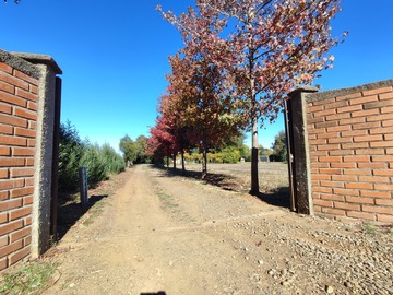 Parcela en venta en Culenar, Coihueco - 6 dormitorios, 3 baños