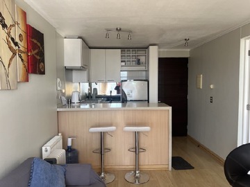 Arriendo Mensual / Departamento / Viña del Mar