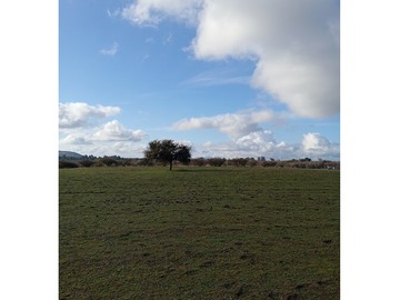 Terreno Agricola en venta en Capellania, Parral