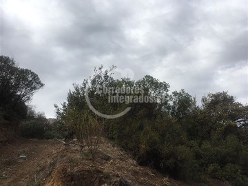 Venta / Sitio / Lo Barnechea