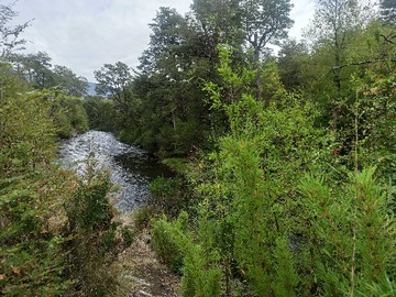 Terreno en venta en Amplia Parcela Rodeada de Tranquilidad (165049), Curacautín