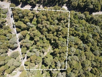 Parcela en venta en rinconada, Curarrehue