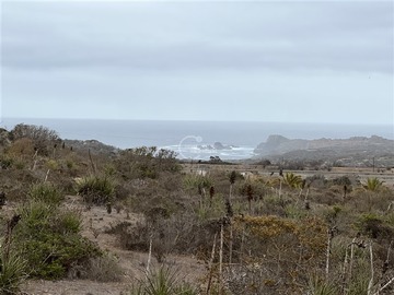 Venta / Sitio / La Ligua