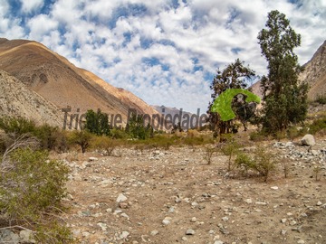 Parcela en venta en Cochiguaz, Paihuano