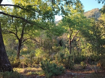 Parcela en venta en La Puntilla de San Juan / Coihueco, Coihueco