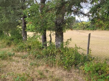 Parcela en venta en ñancul, huiscapi, Villarrica