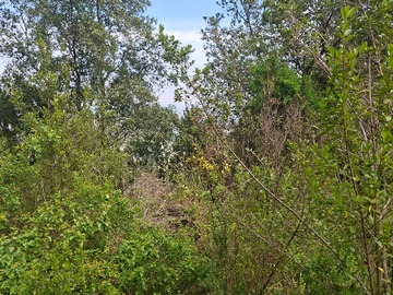 Venta / Terreno / Puchuncaví
