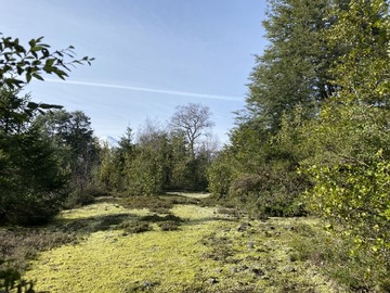 Parcela en venta en Villarrica, Villarrica