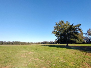Terreno en venta en Cercano a Ciudad de Mariquina (74724), Mariquina