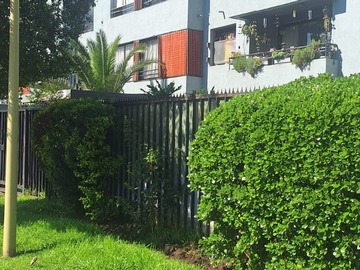 Arriendo Mensual / Departamento / Las Condes