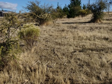 Parcela en venta en Cauquenes, Cauquenes