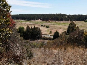 Terreno en venta en Parcela Mantagua 5.000 mts2 (175449), Concón