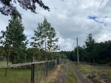 Venta / Parcela / Puerto Varas