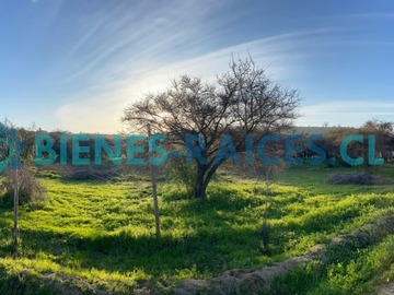 Parcela en venta en Condominio Tierra Nativa, Limache