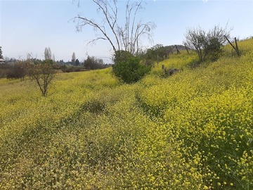 Sitio en venta en Panamericana Norte, Colina