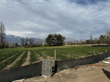Terreno Agricola en venta en Bernardo O'Higgins, El Huertino, Santa María