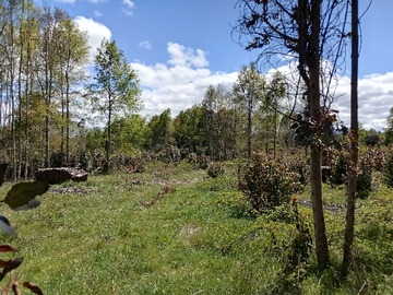 Terreno en venta en Parcela con vistas al volcán condominio (114124), Panguipulli